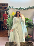 Mint Green Embroidered Straight Kurti Set with Dupatta